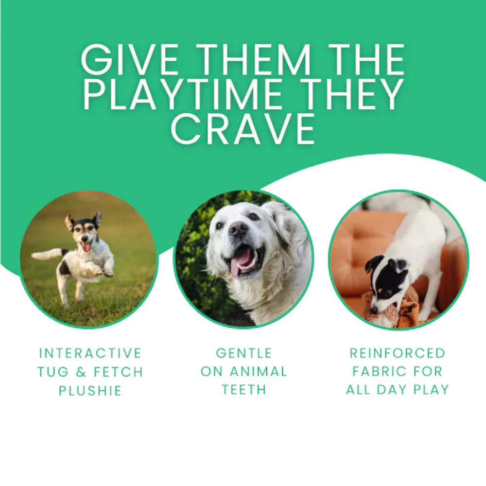 Plush Dog Toy for Aggressive Chewers – Chewlax Comfort Bear with Reinforced Seams 7