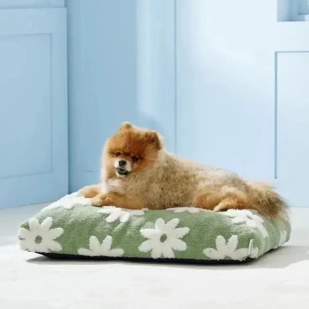 Orthopedic Dog Bed with Waterproof Liner and Plush Sherpa Cover – Indoor/Outdoor Use, Removable Washable Cover, Multiple Sizes 5