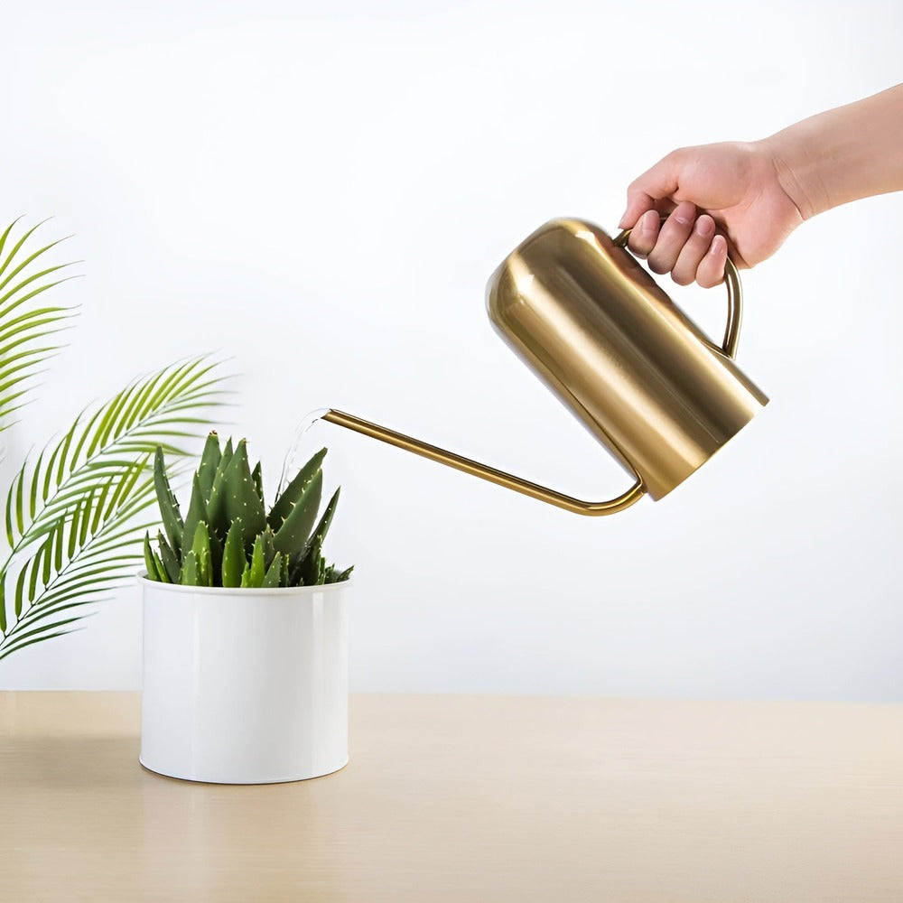 Stainless Steel Watering Can - 1.5L Capacity with Precision Spout for Indoor and Outdoor Plants 3