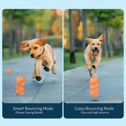 Interactive Bouncing Dog Toy for Small Breeds – Durable, Waterproof, and Rechargeable 13