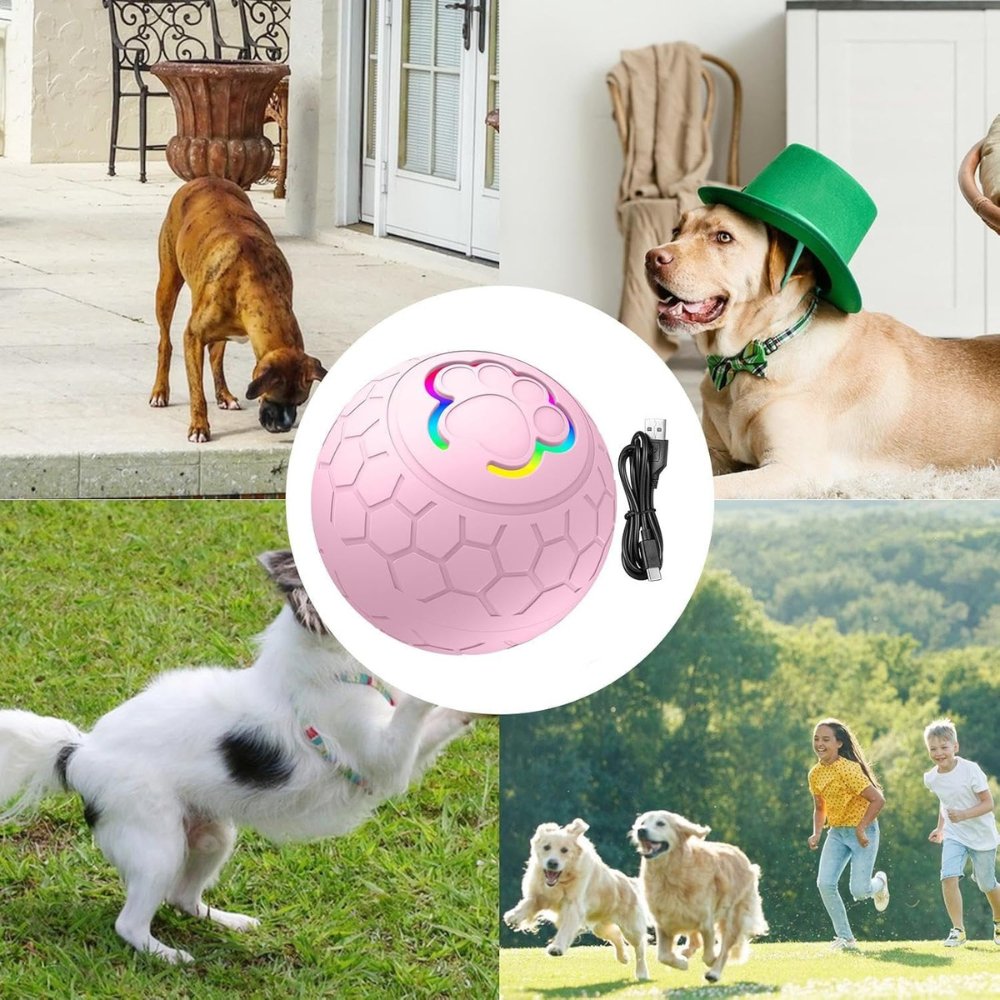 Interactive Bouncing Dog Toy for Small Breeds – Durable, Waterproof, and Rechargeable 14