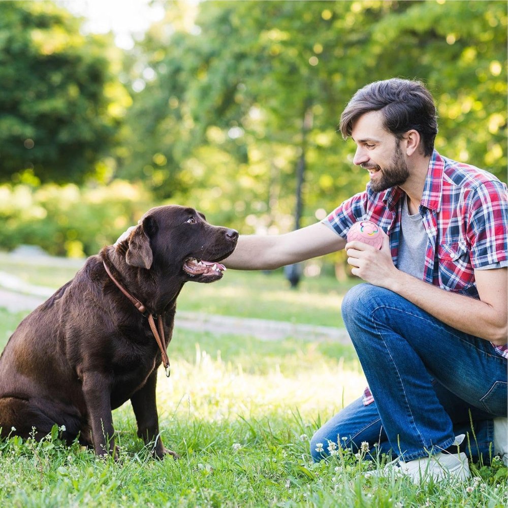 Interactive Bouncing Dog Toy for Small Breeds – Durable, Waterproof, and Rechargeable 15