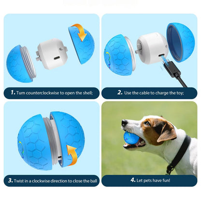 Interactive Bouncing Dog Toy for Small Breeds – Durable, Waterproof, and Rechargeable 17