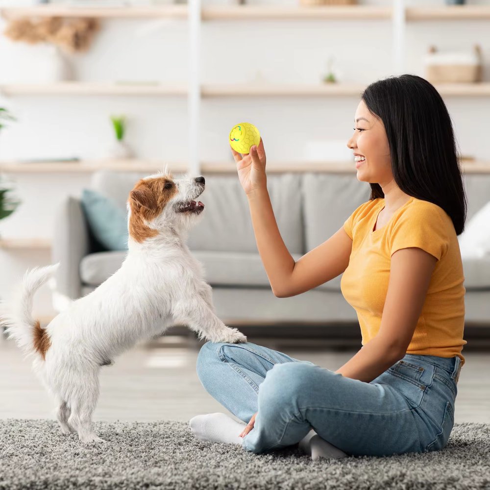 Interactive Bouncing Dog Toy for Small Breeds – Durable, Waterproof, and Rechargeable 20