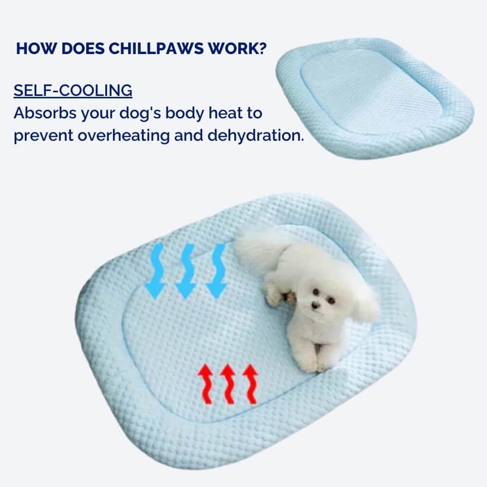 Self-Cooling Dog Bed with Pressure-Activated Gel – Portable and Versatile for All Sizes 6