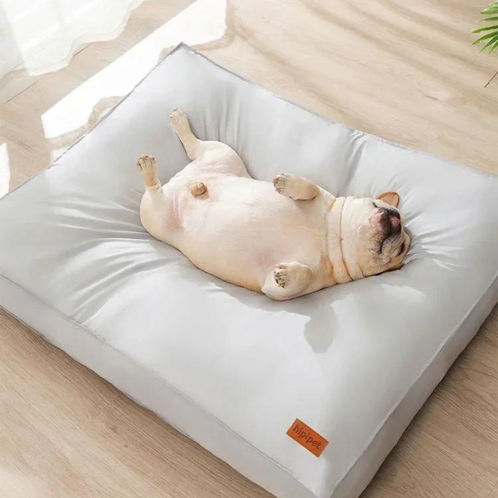 Waterproof Orthopedic Dog Bed with Removable Cover and Non-Slip Design – Soft Comfort for Small to XL Dogs 4