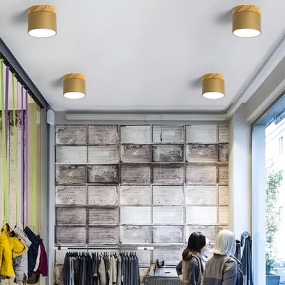 Zeitgenössische Flush Mount LED-Deckenleuchte - Sanfte Beleuchtung mit nordischem Design