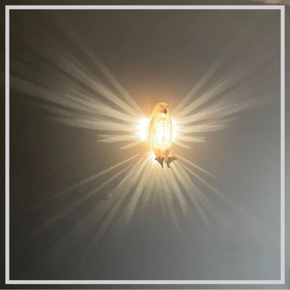 FeatherGlow Wall Night Light for Kids – Eagle and Owl Designs with Soft LED Glow 3