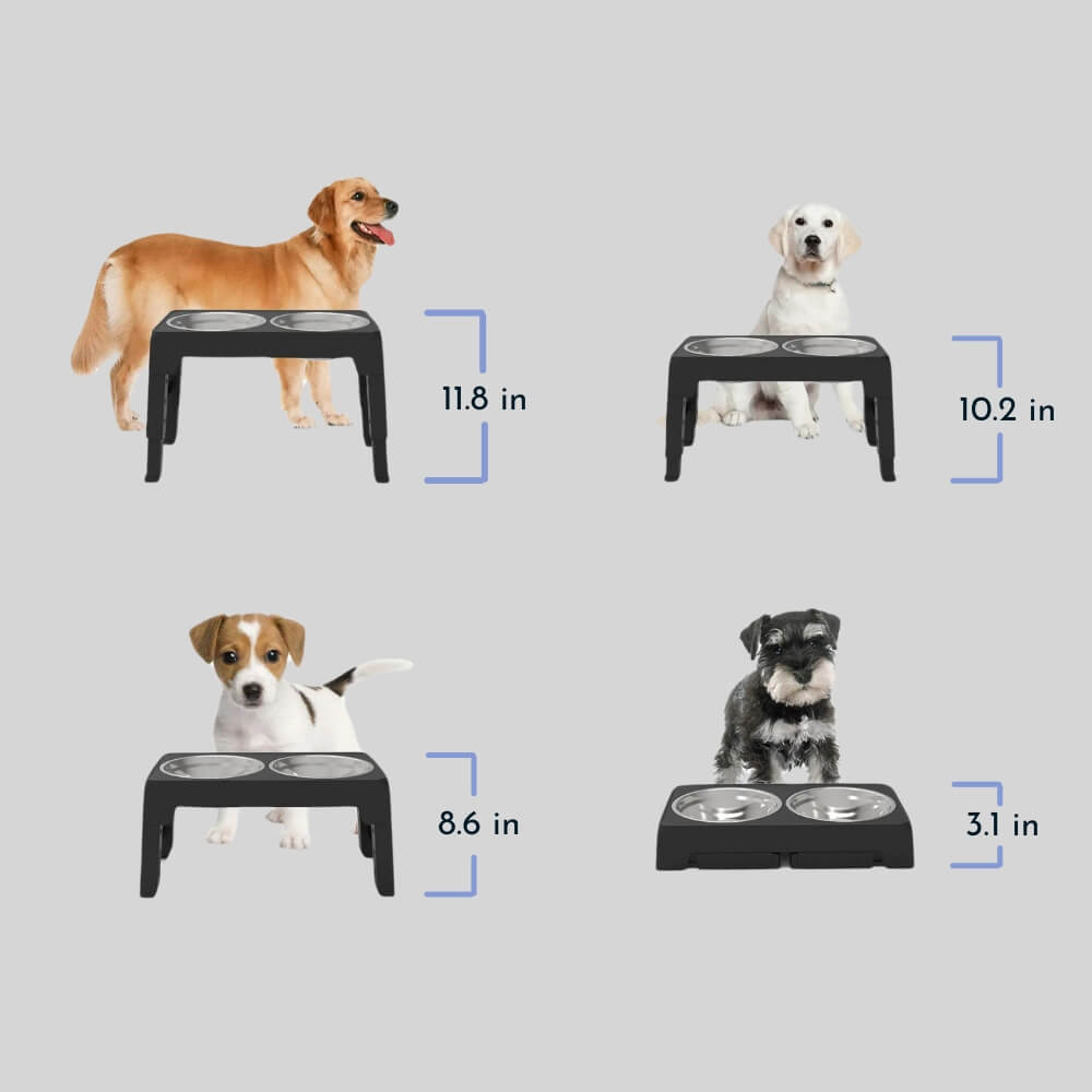 Adjustable Elevated Dog Feeder with Stainless Steel Bowls – Ergonomic Pet Feeding Station 3