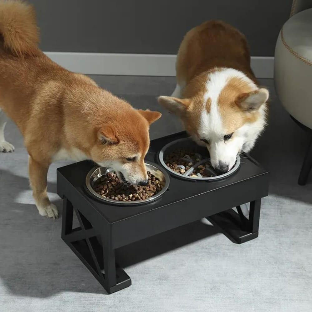 Adjustable Elevated Dog Feeder with Stainless Steel Bowls – Ergonomic Pet Feeding Station 4