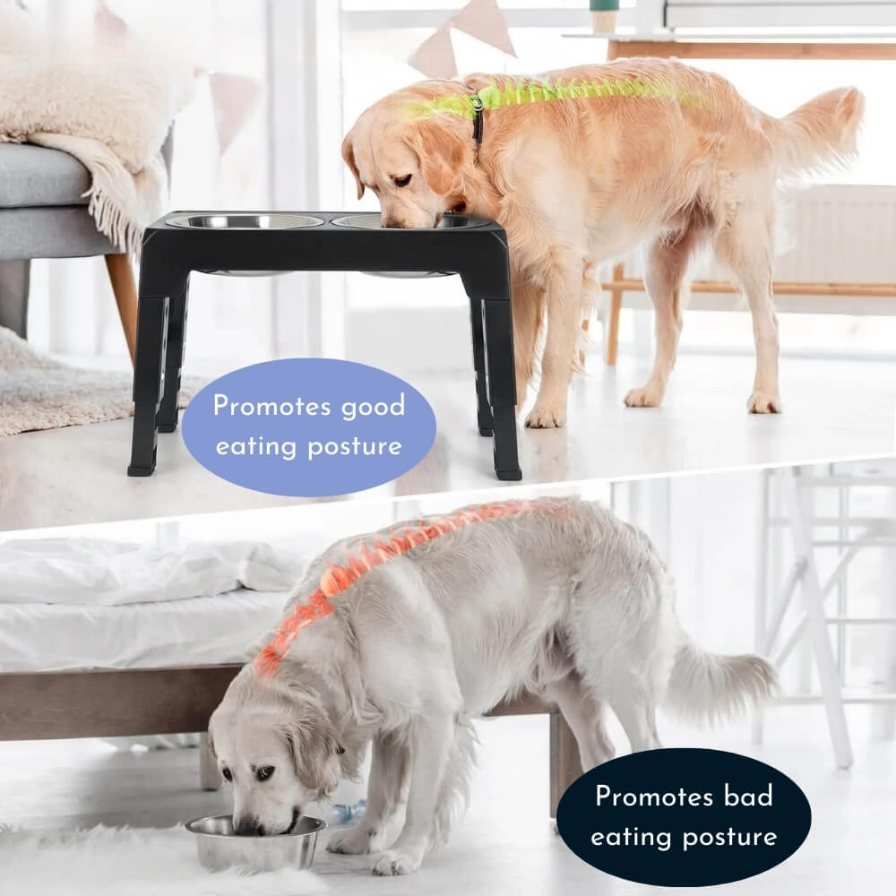 Adjustable Elevated Dog Feeder with Stainless Steel Bowls – Ergonomic Pet Feeding Station 6