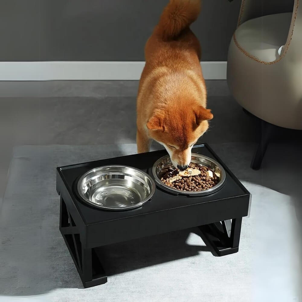Adjustable Elevated Dog Feeder with Stainless Steel Bowls – Ergonomic Pet Feeding Station 9