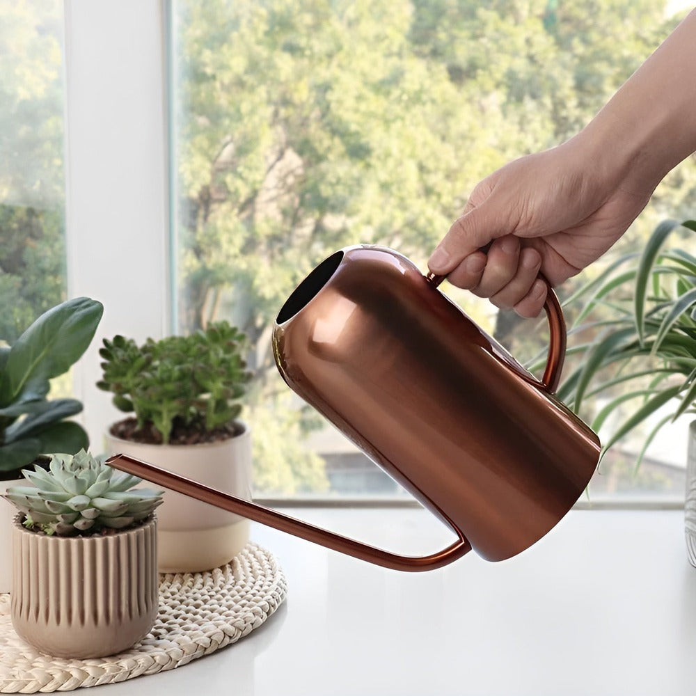 Stainless Steel Watering Can - 1.5L Capacity with Precision Spout for Indoor and Outdoor Plants 2