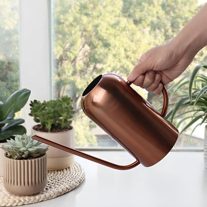 Stainless Steel Watering Can - 1.5L Capacity with Precision Spout for Indoor and Outdoor Plants 2
