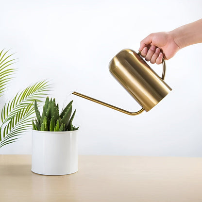 Stainless Steel Watering Can - 1.5L Capacity with Precision Spout for Indoor and Outdoor Plants 3