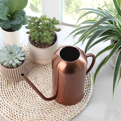 Stainless Steel Watering Can - 1.5L Capacity with Precision Spout for Indoor and Outdoor Plants 4