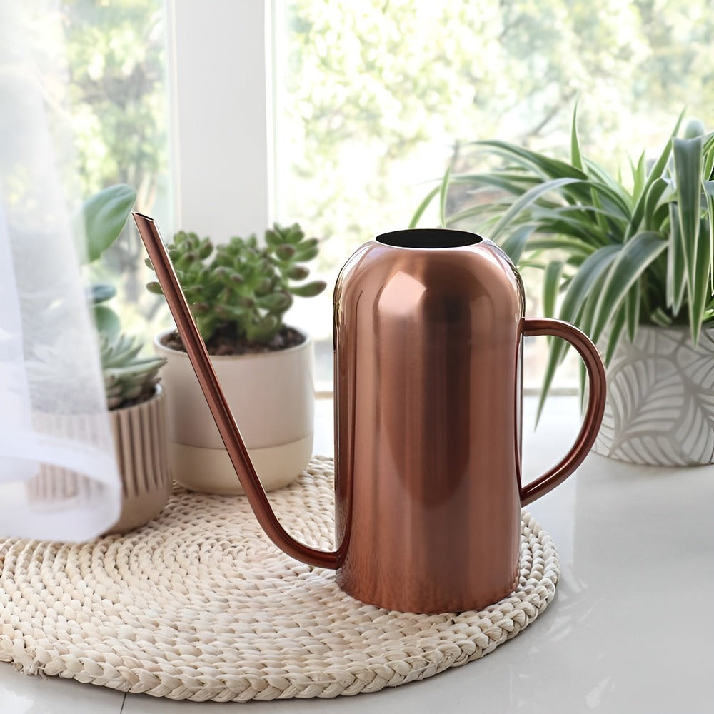 Stainless Steel Watering Can - 1.5L Capacity with Precision Spout for Indoor and Outdoor Plants 5