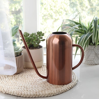 Stainless Steel Watering Can - 1.5L Capacity with Precision Spout for Indoor and Outdoor Plants 5