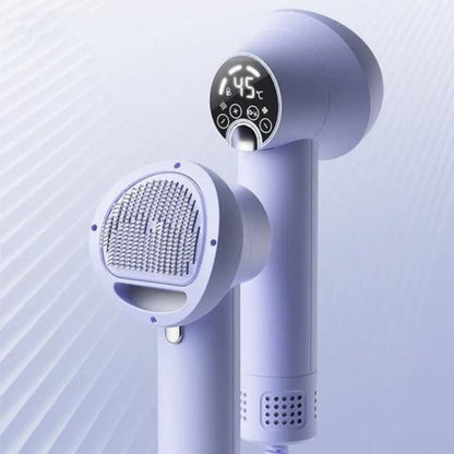 2-in-1 Pet Dryer and Grooming Brush with Adjustable Heat and Quiet Operation 1