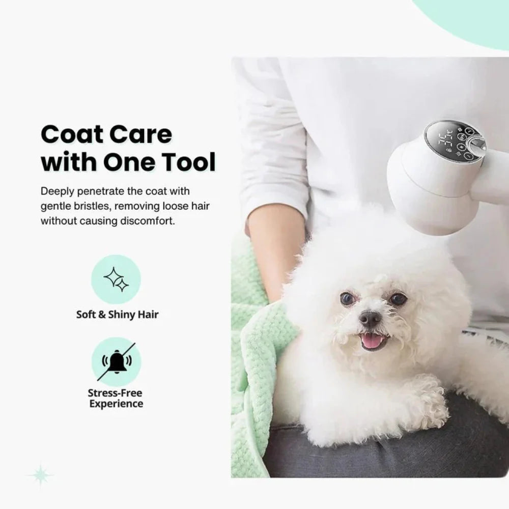 2-in-1 Pet Dryer and Grooming Brush with Adjustable Heat and Quiet Operation 4