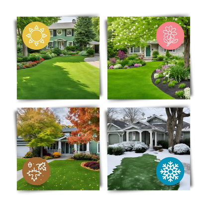 All-in-One Grass Seed Mat for Easy Lawn Repair – Eco-Friendly and Water-Activated 3