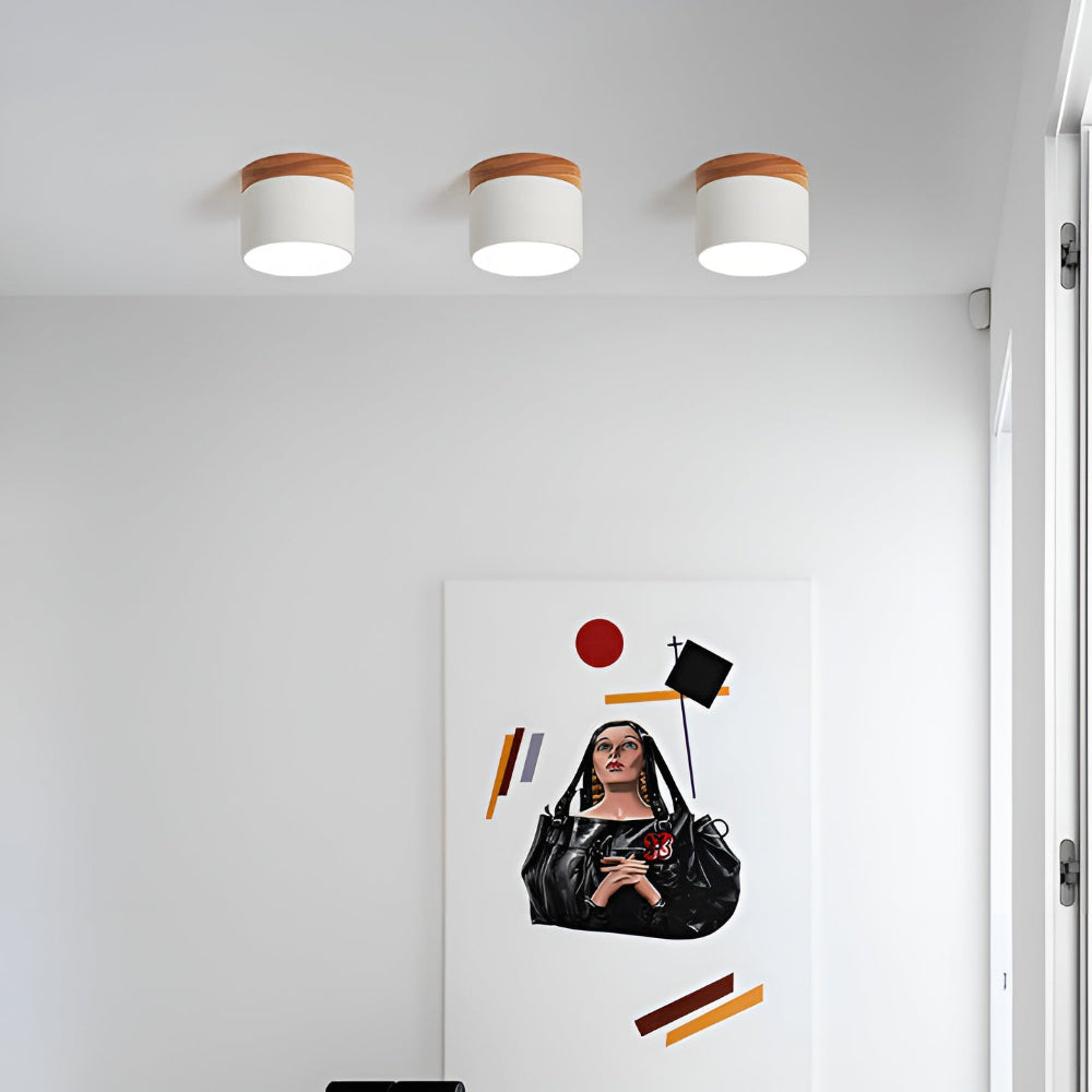 Zeitgenössische Flush Mount LED-Deckenleuchte - Sanfte Beleuchtung mit nordischem Design