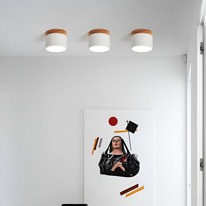 Zeitgenössische Flush Mount LED-Deckenleuchte - Sanfte Beleuchtung mit nordischem Design