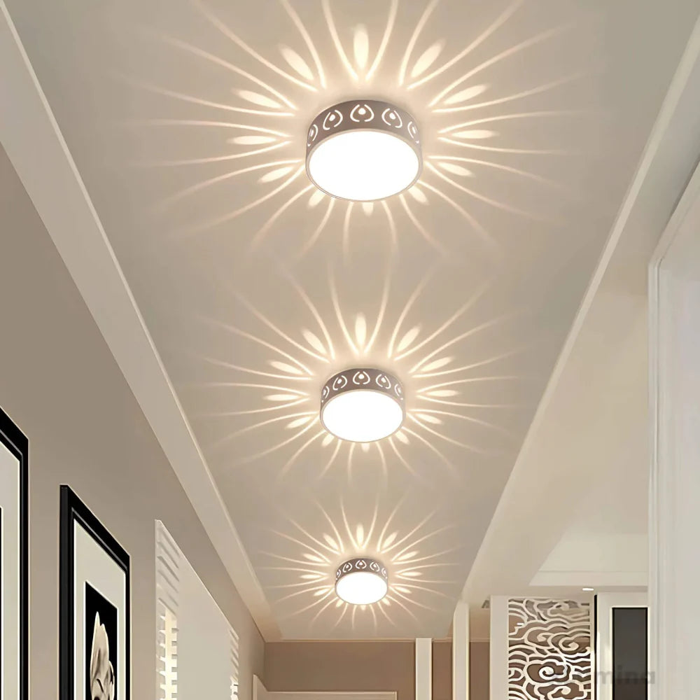 Modern LED Ceiling Light Fixture with Soft Illumination – Slim Round Design for Indoor and Covered Outdoor Use 2