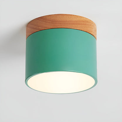 Zeitgenössische Flush Mount LED-Deckenleuchte - Sanfte Beleuchtung mit nordischem Design