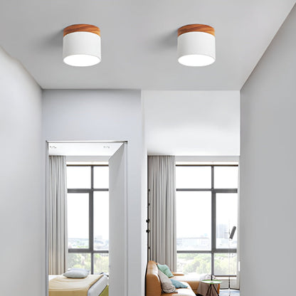 Zeitgenössische Flush Mount LED-Deckenleuchte - Sanfte Beleuchtung mit nordischem Design