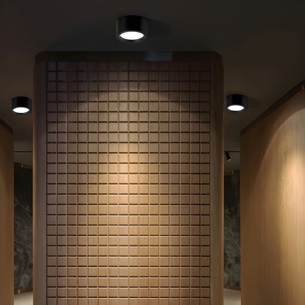 Scandinavian Flush Mount Ceiling Light – Minimalist LED Fixture for Indoor Spaces 9