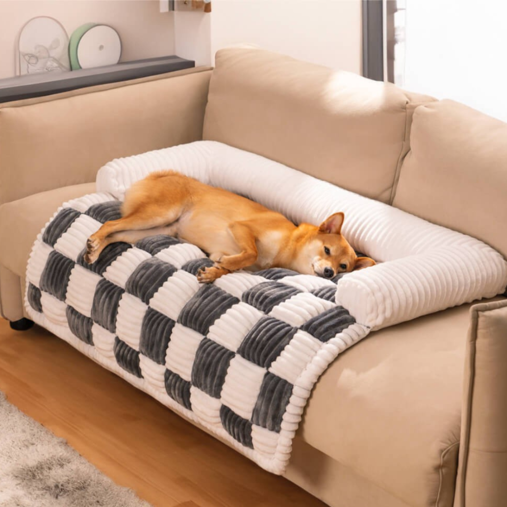 Plush Dog Blanket for Couch with Soft Raised Edge - Machine Washable, Non-Slip, Ultimate Comfort for Dogs and Cats 4