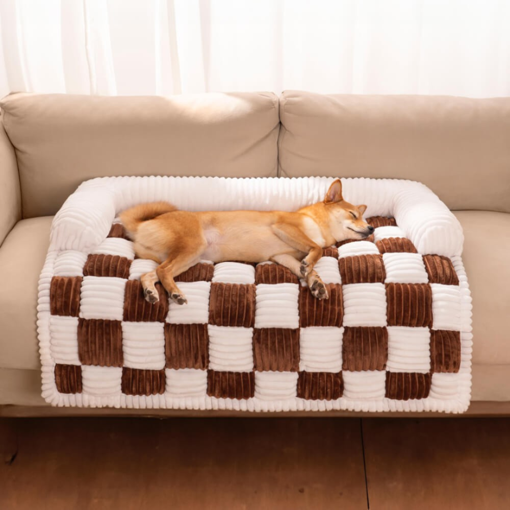 Plush Dog Blanket for Couch with Soft Raised Edge - Machine Washable, Non-Slip, Ultimate Comfort for Dogs and Cats 5