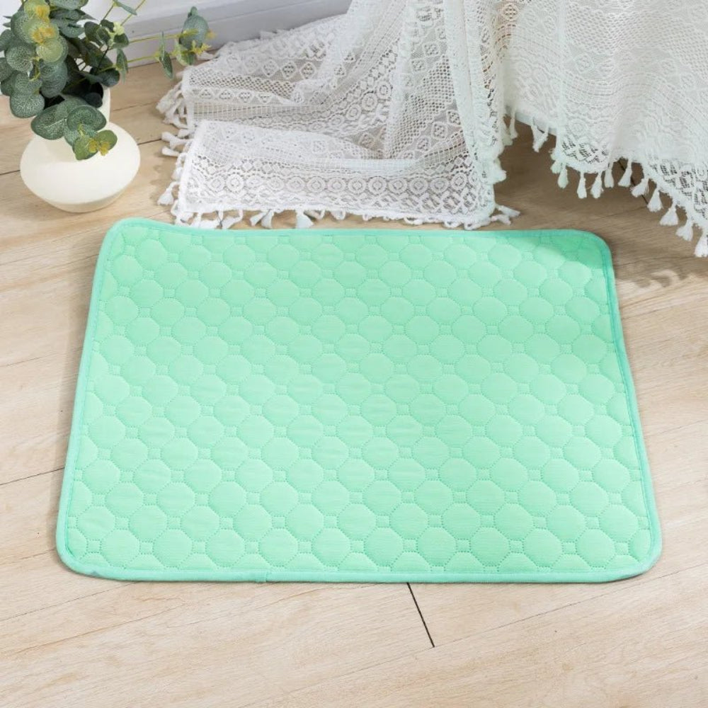 Washable Dog Training Pads with Waterproof TPU Backing – Absorbent and Non-Slip Pet Pads 15