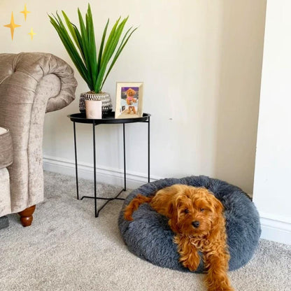 Snuggleloop - Flauschiges Donut-Haustierbett für Katzen & Hunde