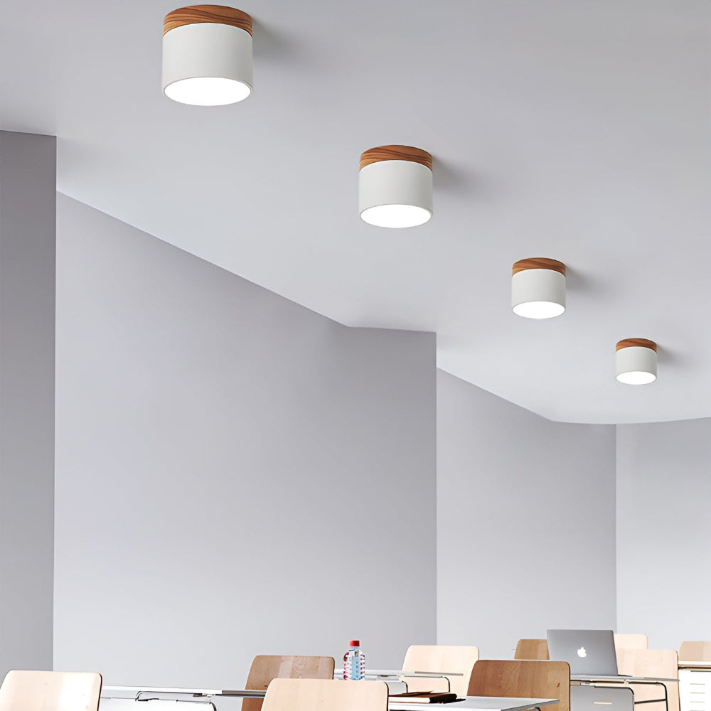 Zeitgenössische Flush Mount LED-Deckenleuchte - Sanfte Beleuchtung mit nordischem Design