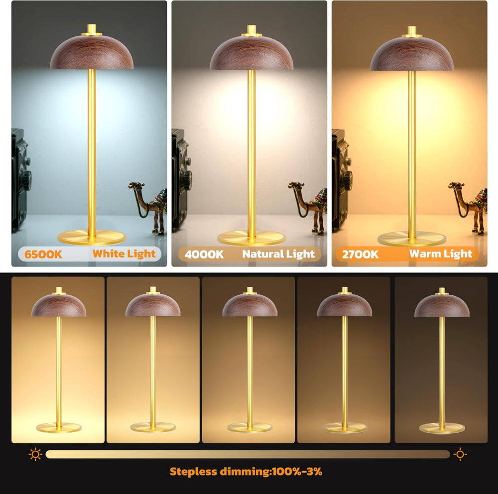 Wiederaufladbare kabellose Luxe-Tischlampe - Touch Control & einstellbare Helligkeit