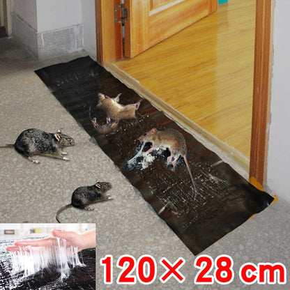 Extra Large Non-Toxic Glue Trap for Mice, Rats, and Insects – Safe Pest Control Solution for Home and Business 6