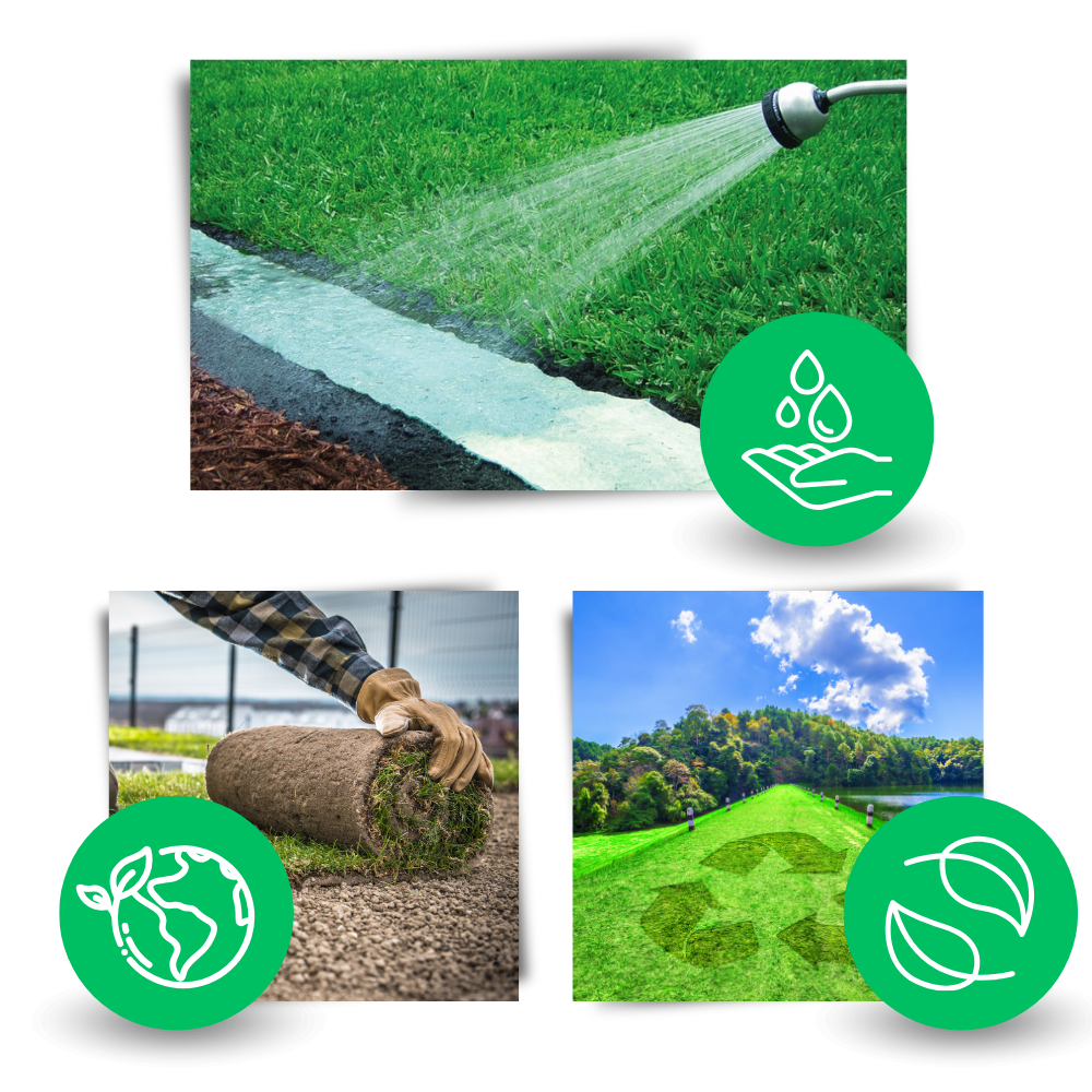 All-in-One Grass Seed Mat for Easy Lawn Repair – Eco-Friendly and Water-Activated 7