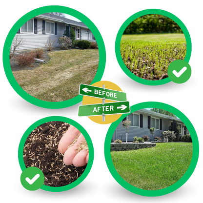All-in-One Grass Seed Mat for Easy Lawn Repair – Eco-Friendly and Water-Activated 5