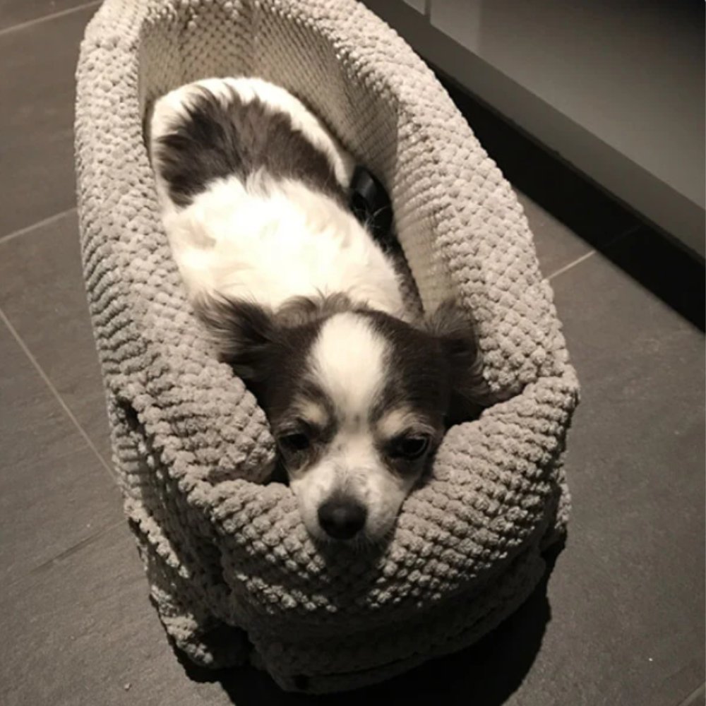 RideNest - Plüsch & sicherer Autositz für kleine Hunde